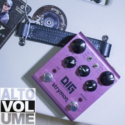 Strymon DIG