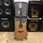 Takamine GD20CE NS