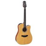 Takamine GD20