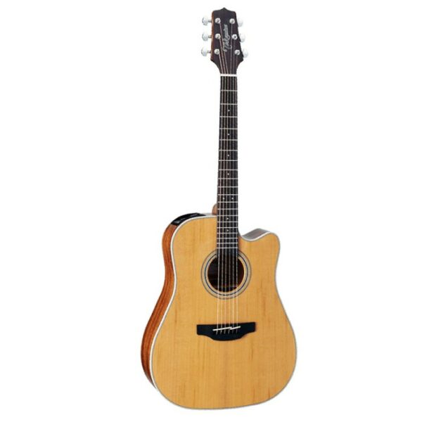 Takamine GD20