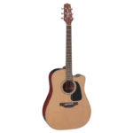 Takamine P1DC