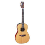 Takamine P3NY