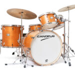 Canopus Yaiba II Groove Kit Antique Amber Matt Lq (Limited Color)