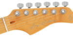 Sire Larry Carlton S7 FM Trans Black - immagine 3