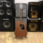 Takamine GD11MCE NS