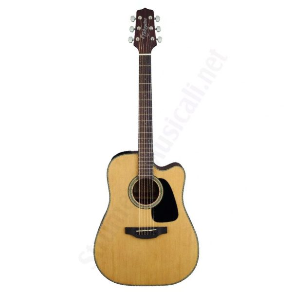 Takamine GD10CE NS