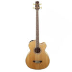 Takamine gb 72 ce nat