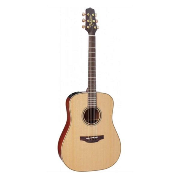 Takamine P3D