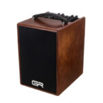 GR Guitar WD Acoustic 6