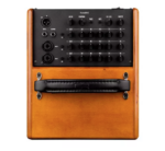 GR Guitar WD Acoustic 6 - immagine 2