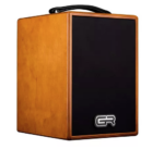 GR Guitar WD Acoustic 6 - immagine 3